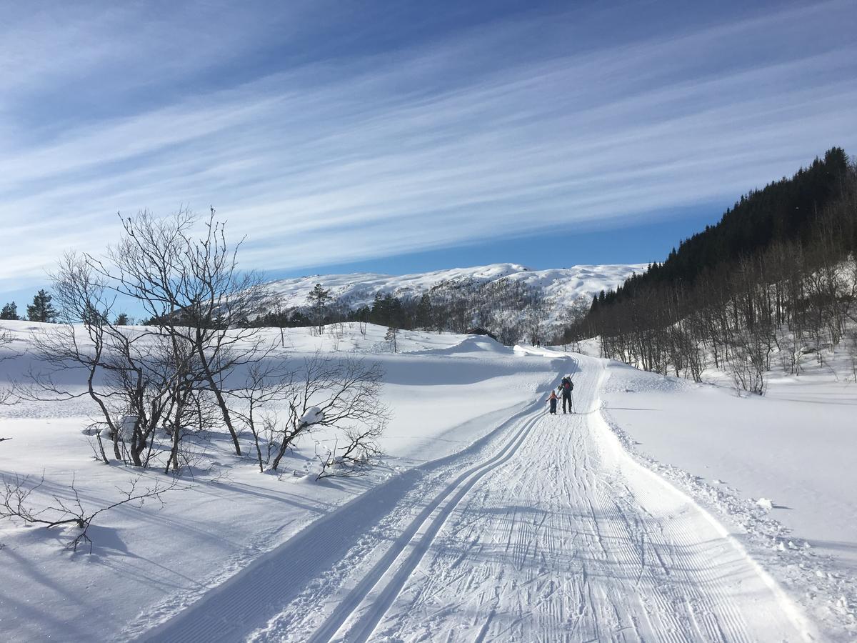 Kvamseter Lodge Eikedalen Exteriér fotografie