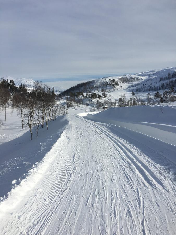 Kvamseter Lodge Eikedalen Exteriér fotografie